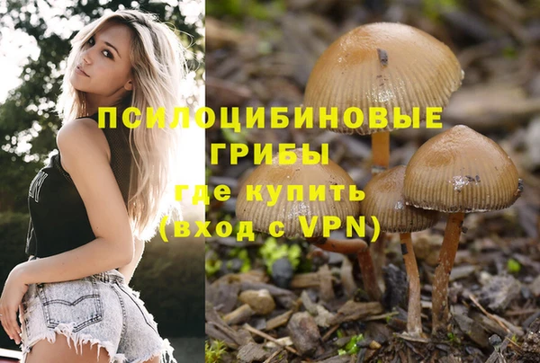 мяу мяу мука Балахна