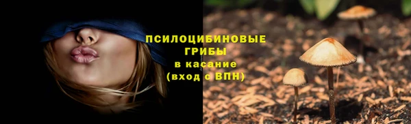 mix Осташков