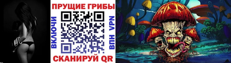 Галлюциногенные грибы GOLDEN TEACHER  OMG ONION  Нововоронеж 